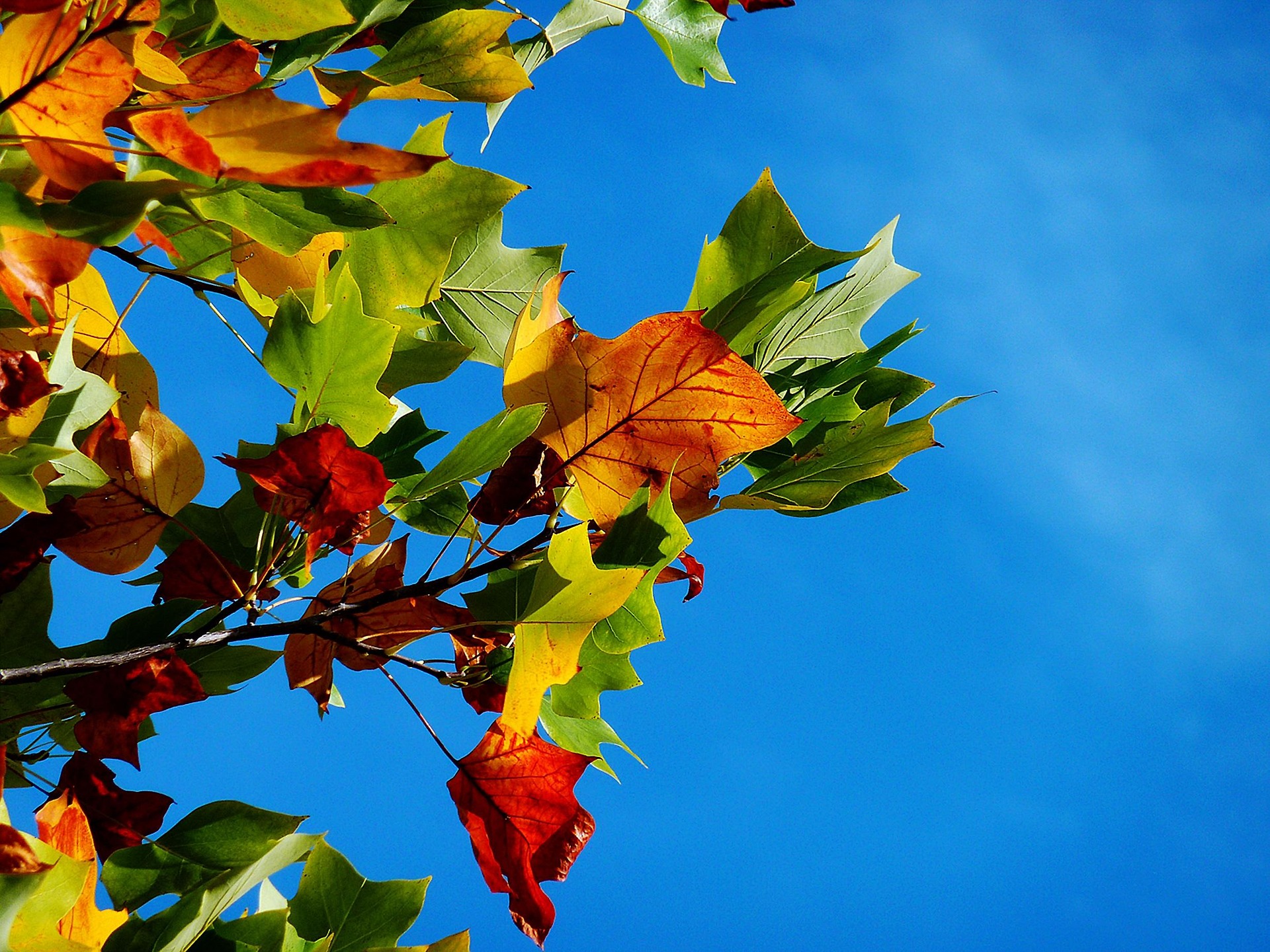 Seasons - Sherwood Cliffs